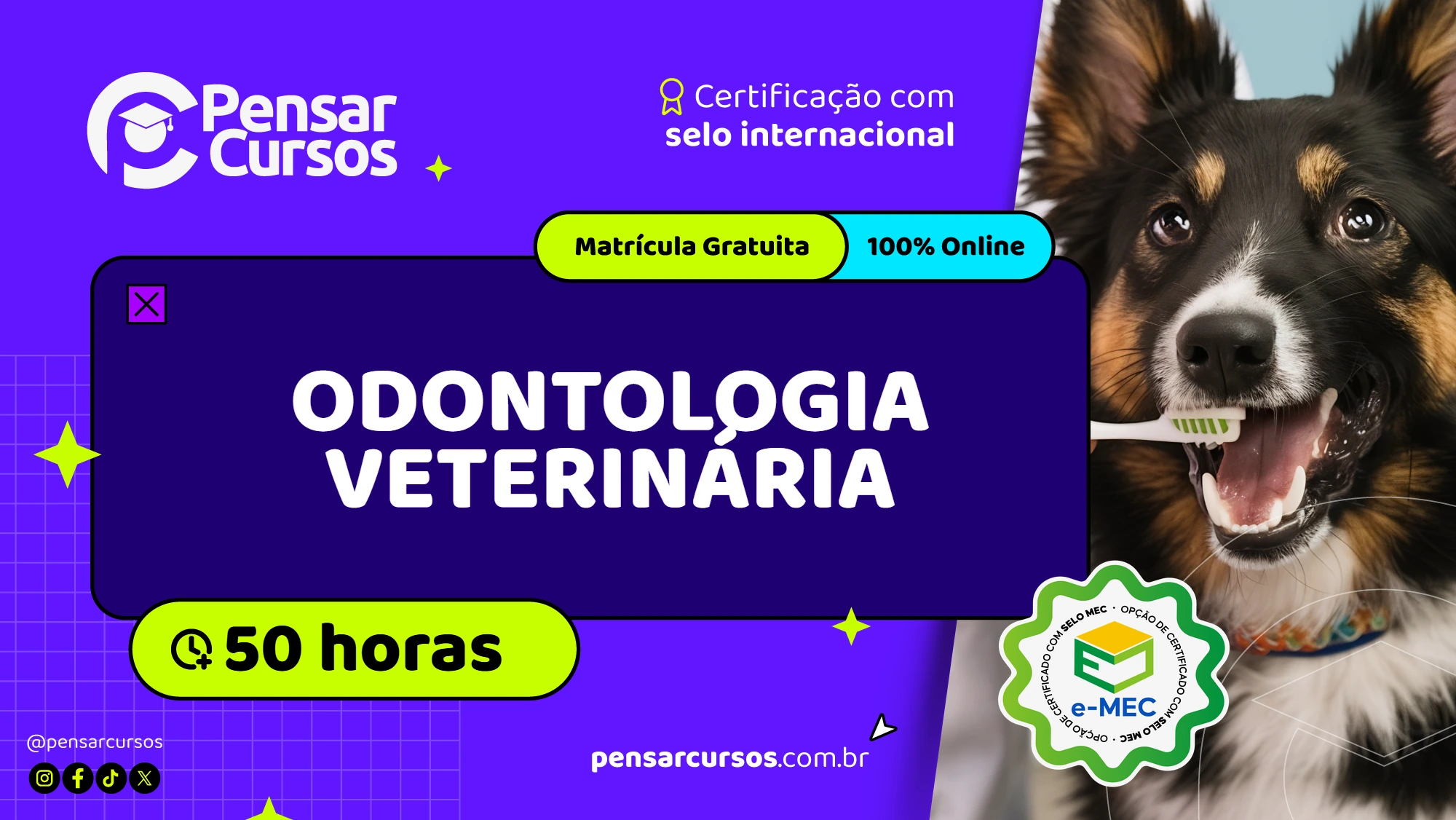 Odontologia Veterinária