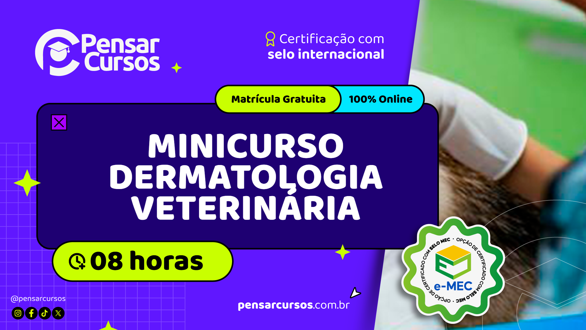 Minicurso Dermatologia Veterinária 
