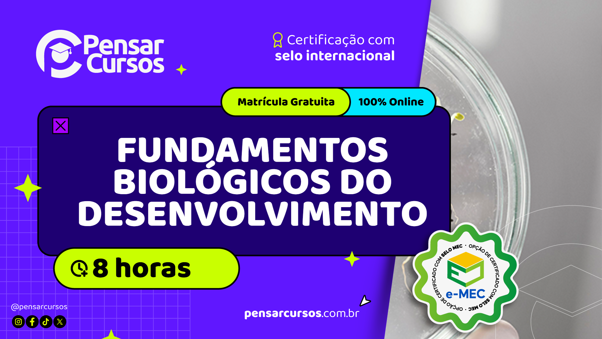 Minicurso Fundamentos Biológicos do Desenvolvimento