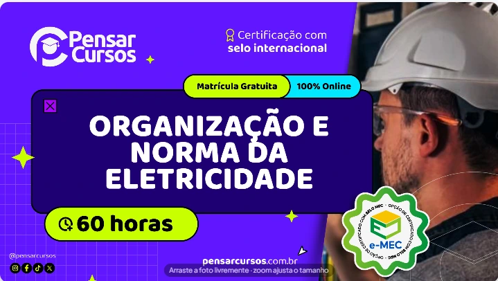 Organização e Norma da Eletricidade