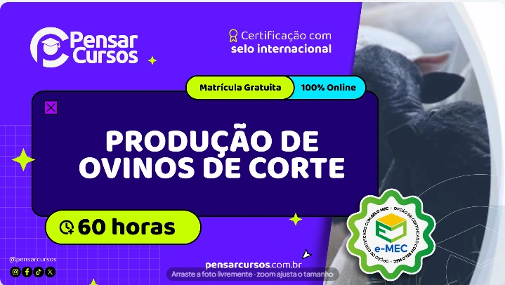 Produção de Ovinos de Corte