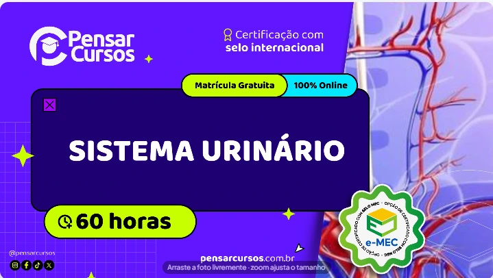 Sistema Urinário