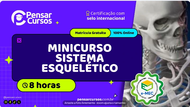 Minicurso Sistema Esquelético