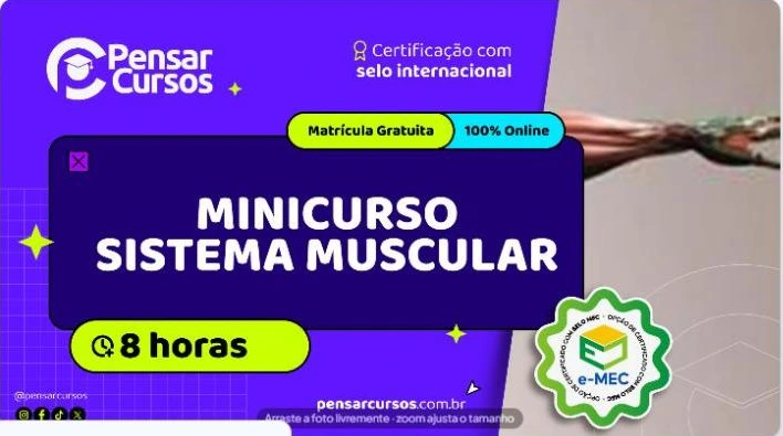 Minicurso Sistema Muscular