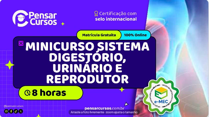 Minicurso Sistema Digestório, Urinário e Reprodutor