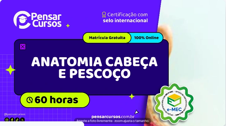 Anatomia Cabeça e Pescoço