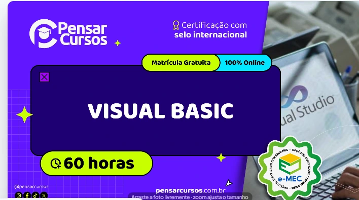Visual Basic