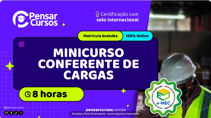 Minicurso Conferente de Cargas
